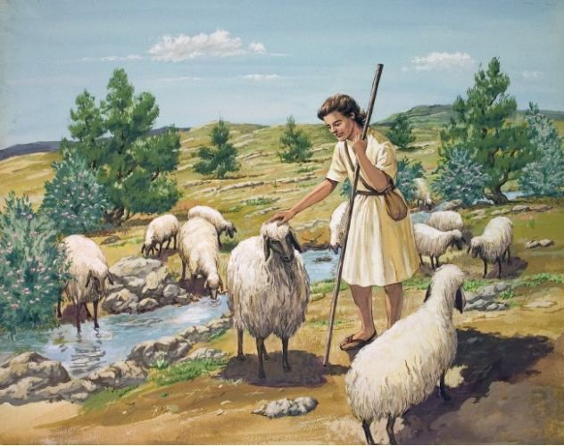 david the shepherd